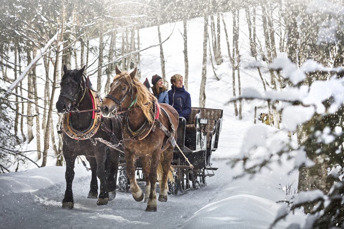 Pferdeschlittenfahrten durch die idyllische Schneelandschaft - Hotel Austria Saalbach